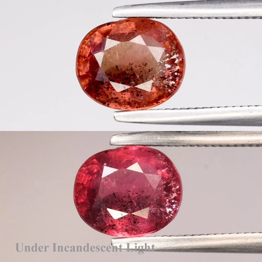 1.54ct ETW Color Change Sapphire Gemstone - Oval Cut - Unheated - DISCOUNTED