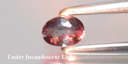 0.14ct ETW Earth-Mined Blue Color Change Garnet – Oval Cut, Unheated