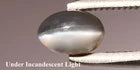 0.72ct ETW Cat's Eye Alexandrite Gemstone – Oval Cabochon
