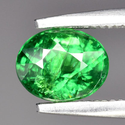 0.73ct ETW Shocking Green Tsavorite Garnet Gemstone – Oval Cut
