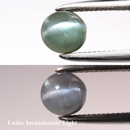 0.74ct Earth-Mined Cat's Eye Russian Alexandrite – Round Cabochon, Unheated