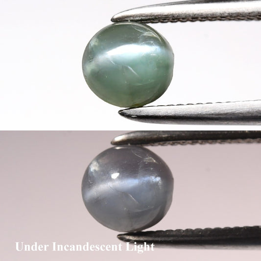 0.74 ct ETW Cat's Eye Alexandrite – Round Cut Cabochon