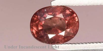 1.37ct ETW Color Change Garnet Gemstone – Oval Cut