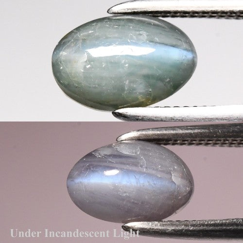 1.54ct ETW Earth-Mined Cat’s Eye Alexandrite – Oval Cabochon, Unheated