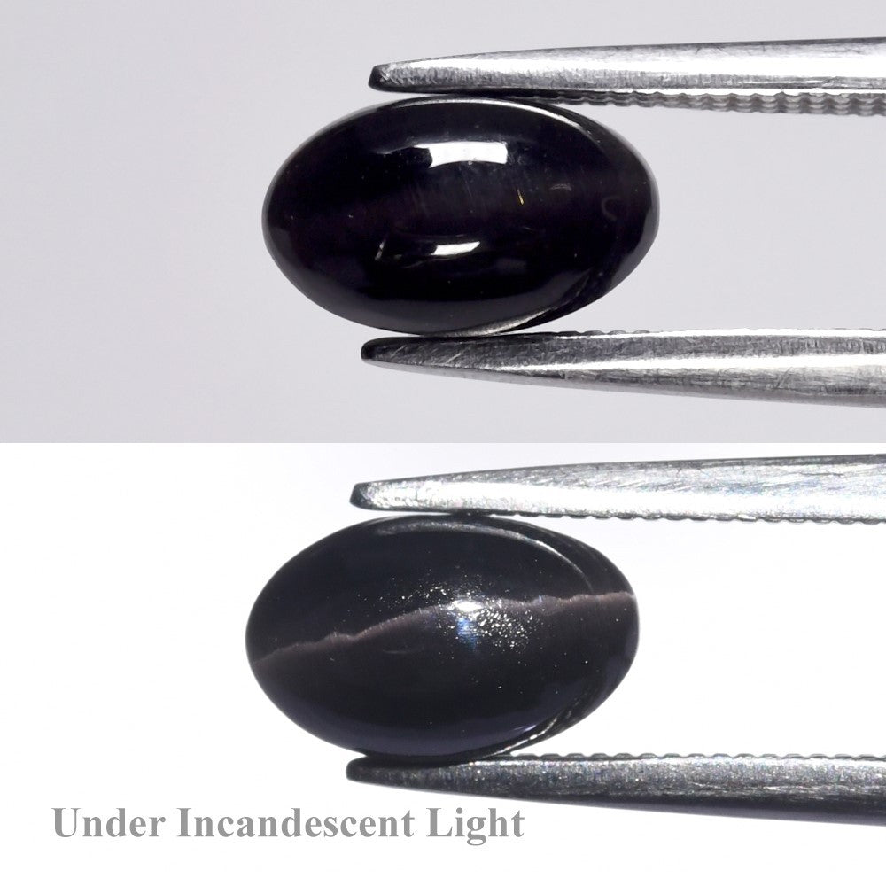 1.68ct ETW Earth-Mined Dark Purple Cat's Eye Scapolite – Oval Cabochon