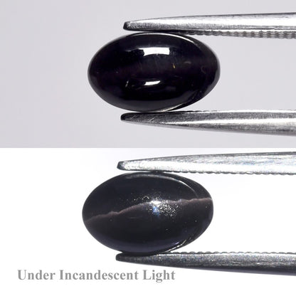 1.68ct ETW Earth-Mined Dark Purple Cat's Eye Scapolite – Oval Cabochon