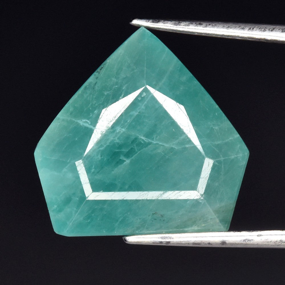 10.36ct ETW Earth-Mined Greenish Blue Grandidierite – Pentagon Cut, Large Stone