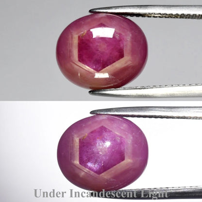 10.97ct ETW Earth-Mined Red Pink Purple Star Sapphire – Oval, 6-Ray Star