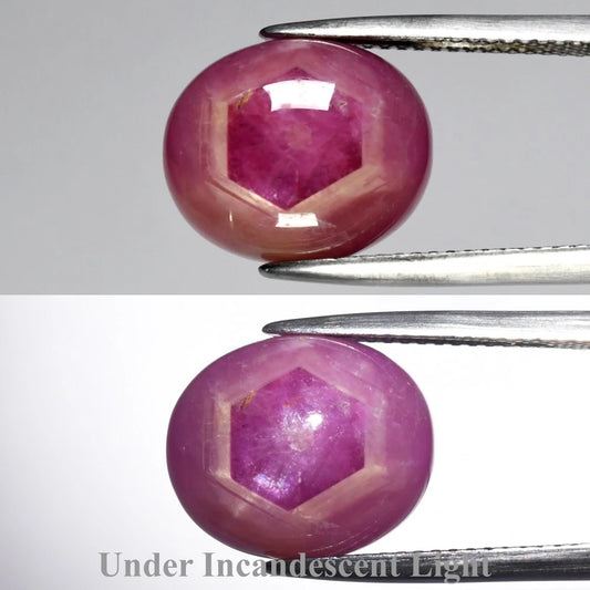 10.97ct ETW Earth-Mined Red Pink Purple Star Sapphire – Oval, 6-Ray Star