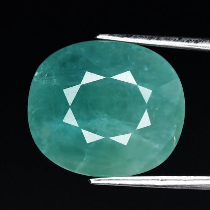 10.99ct ETW Earth-Mined Bluish Green Grandidierite – Cushion Cut, Large Stone