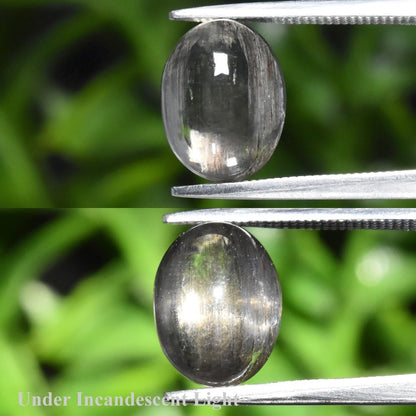 3.18ct ETW Black Rutile Included Cat's Eye Scapolite Gemstone – Oval Cut