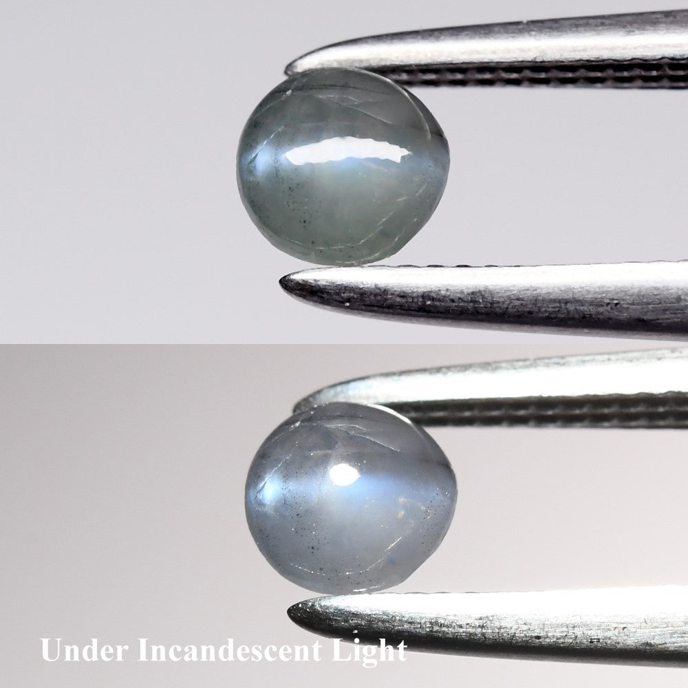 0.32ct Round Cabochon Natural Green Cat's Eye Alexandrite - Sri-Lanka Gemstone