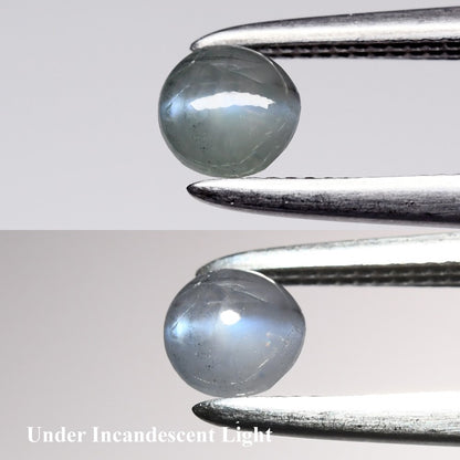 0.32ct Round Cabochon Natural Green Cat's Eye Alexandrite - Sri-Lanka Gemstone