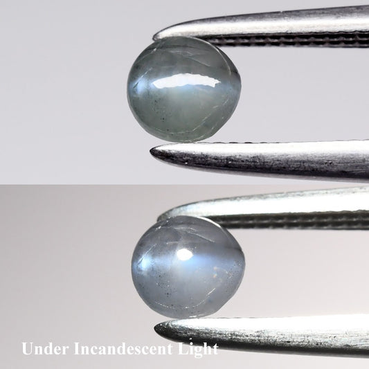 0.32ct Round Cabochon Natural Green Cat's Eye Alexandrite - Sri-Lanka Gemstone