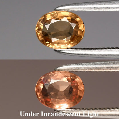 0.62ct 5.5x4.3mm VS Oval Natural Color Change Garnet - Unheated Africa Gem