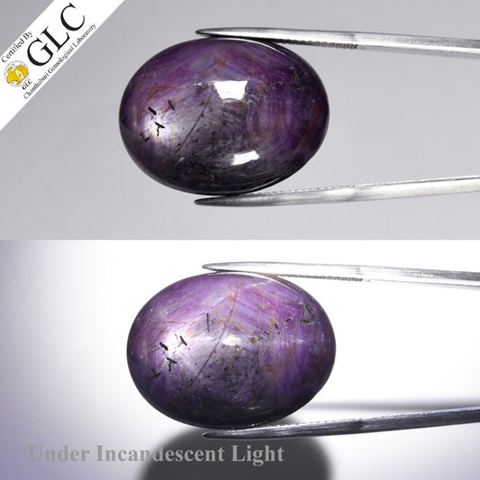 GLC CERTIFIED Big! 55.99ct Oval Natural Purple 6 Ray Star Sapphire - Unheated