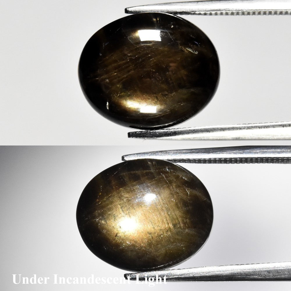 8.07ct ETW Black 6 Ray Star Sapphire Gemstone – Oval Cut Cabochon