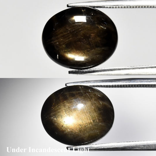 8.07ct ETW Black 6 Ray Star Sapphire Gemstone – Oval Cut Cabochon