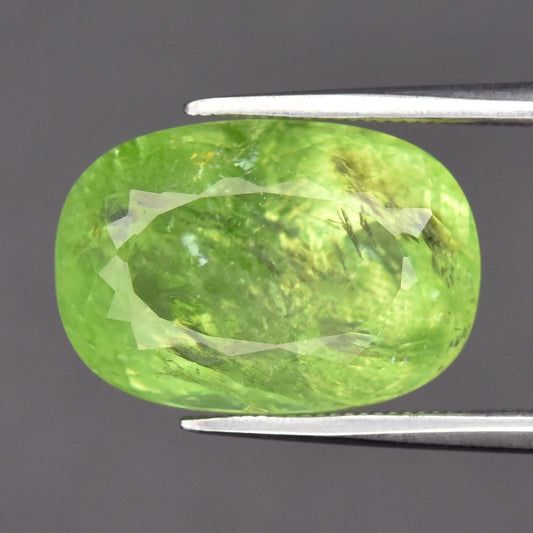 8.86ct ETW Green Tourmaline Gemstone – Cushion Cut