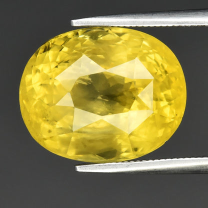 9.30ct ETW Yellow Apatite Gemstone – Oval Cut