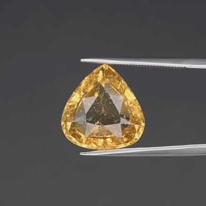 10.61ct ETW Earth-Mined Yellow Grossular Garnet – Pear Cut, Large Stone