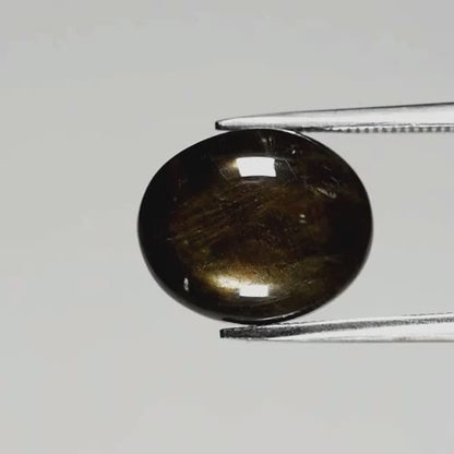 8.07ct ETW Black 6 Ray Star Sapphire Gemstone – Oval Cut Cabochon