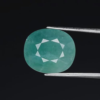 10.99ct ETW Earth-Mined Bluish Green Grandidierite – Cushion Cut, Large Stone