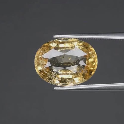 8.67ct ETW Earth-Mined Yellow Grossular Garnet – Oval Cut, Unheated