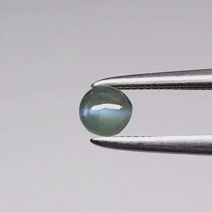 0.32ct Round Cabochon Natural Green Cat's Eye Alexandrite - Sri-Lanka Gemstone