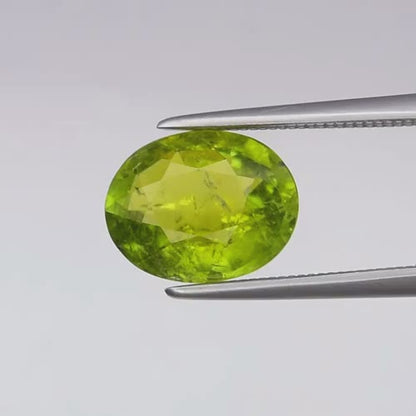 2.63ct ETW Green Tourmaline Gemstone – Oval Cut